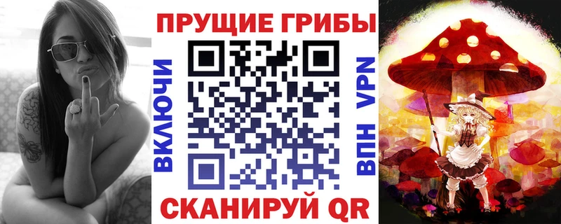 Купить Балтийск Псилоцибиновые грибы MAGIC MUSHROOMS